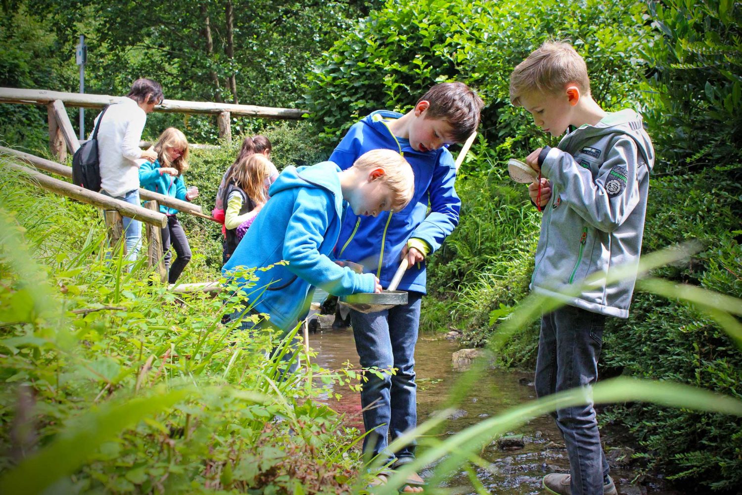 Umweltbildung für Schulen Musem am Schölerberg