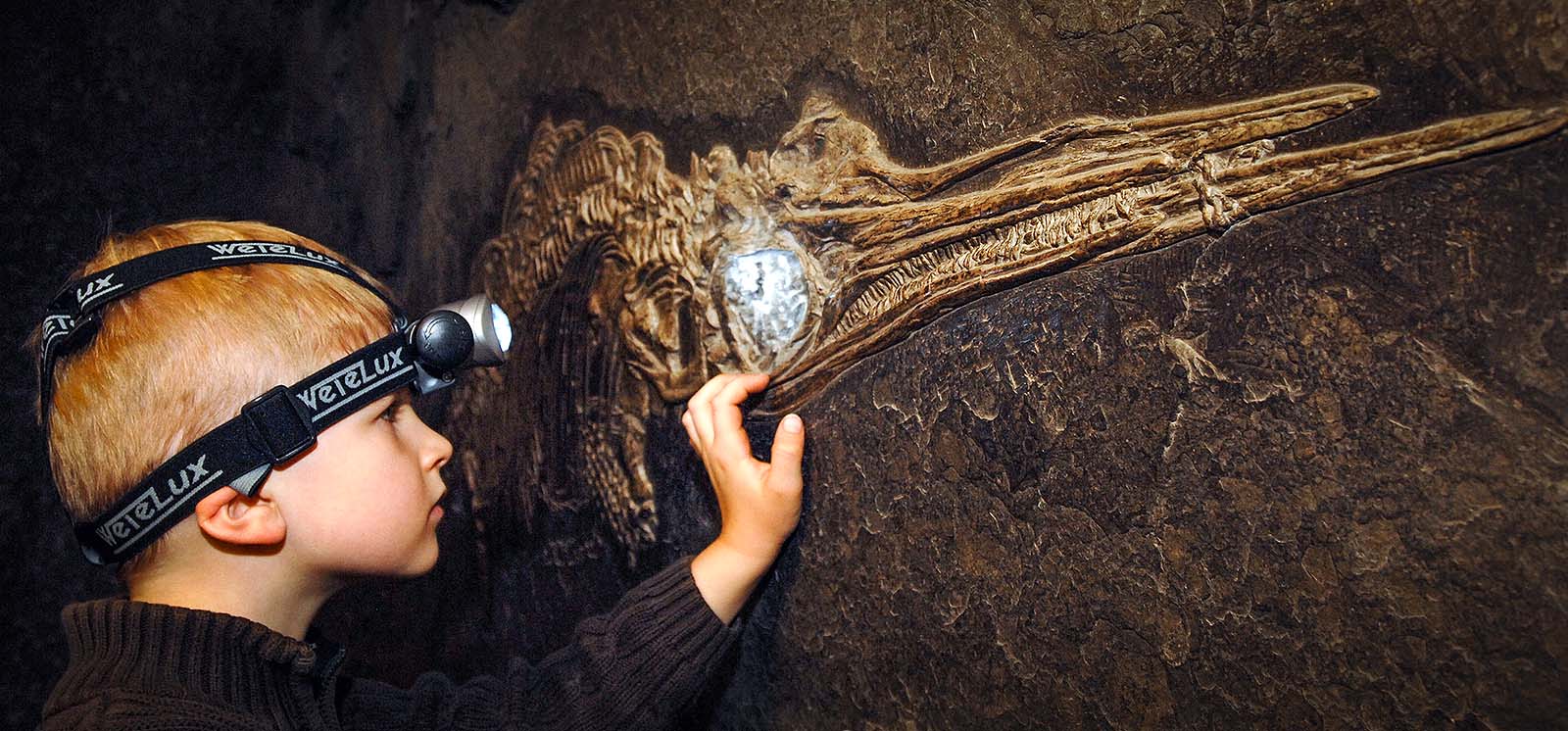 Viel zu entdecken gibt es in der terra.vison-Ausstellung in Osnabrücker Museum am Schölerberg