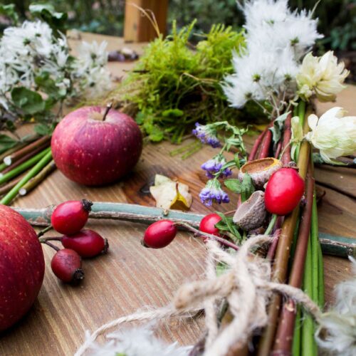 Gartenworkshop: Die Früchte des Herbstes
