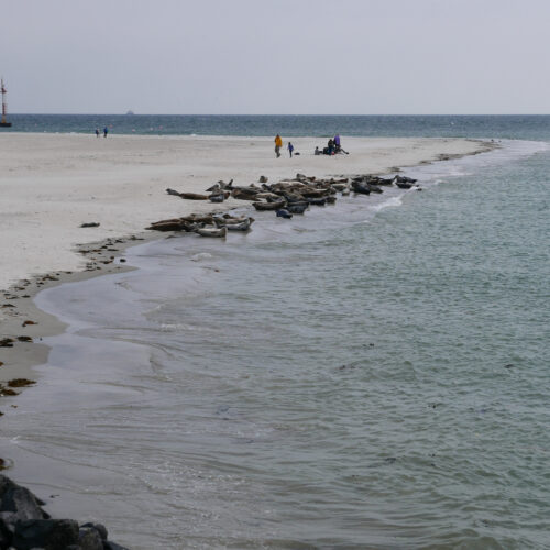 Streifzug nach Helgoland