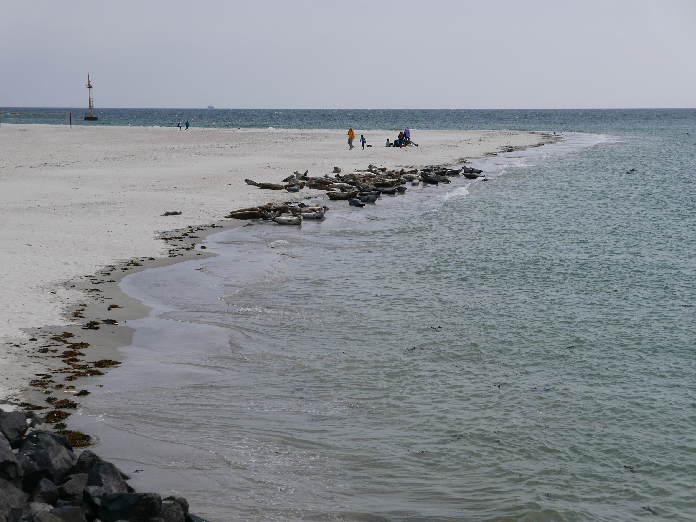 Sanddüne Helgoland