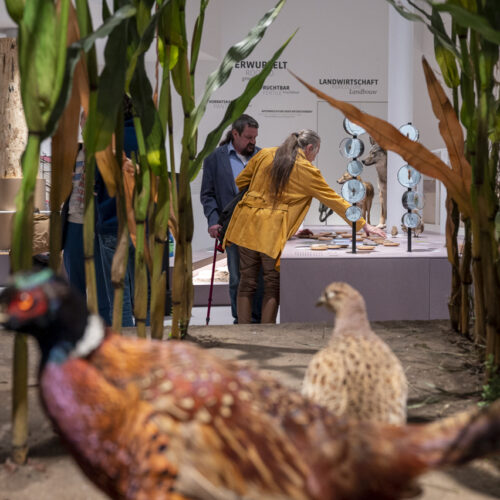 Sonntagsführung: Neue Dauerausstellung