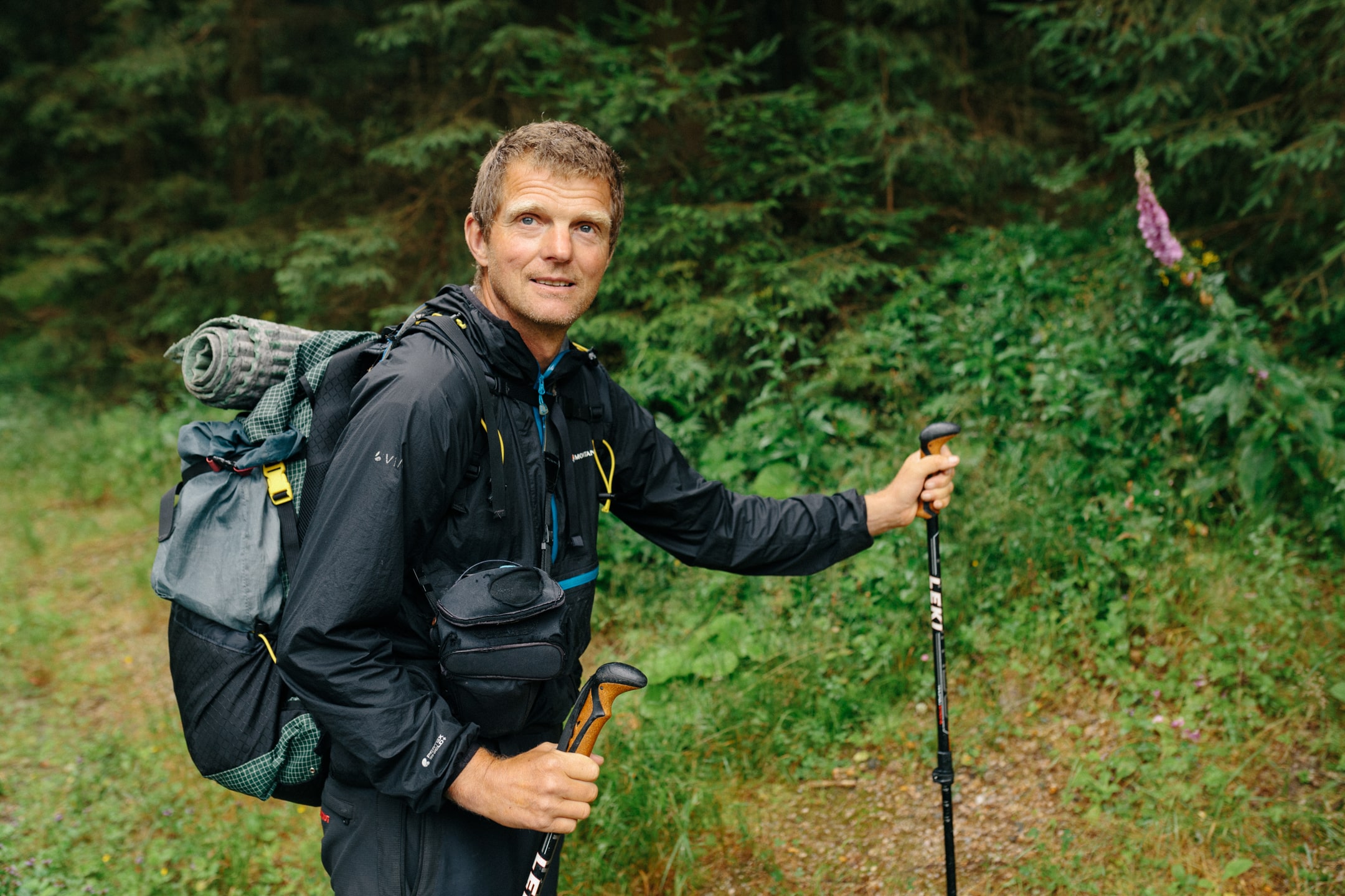 Gerald Klamer - Der Waldwanderer © Gerald Klamer