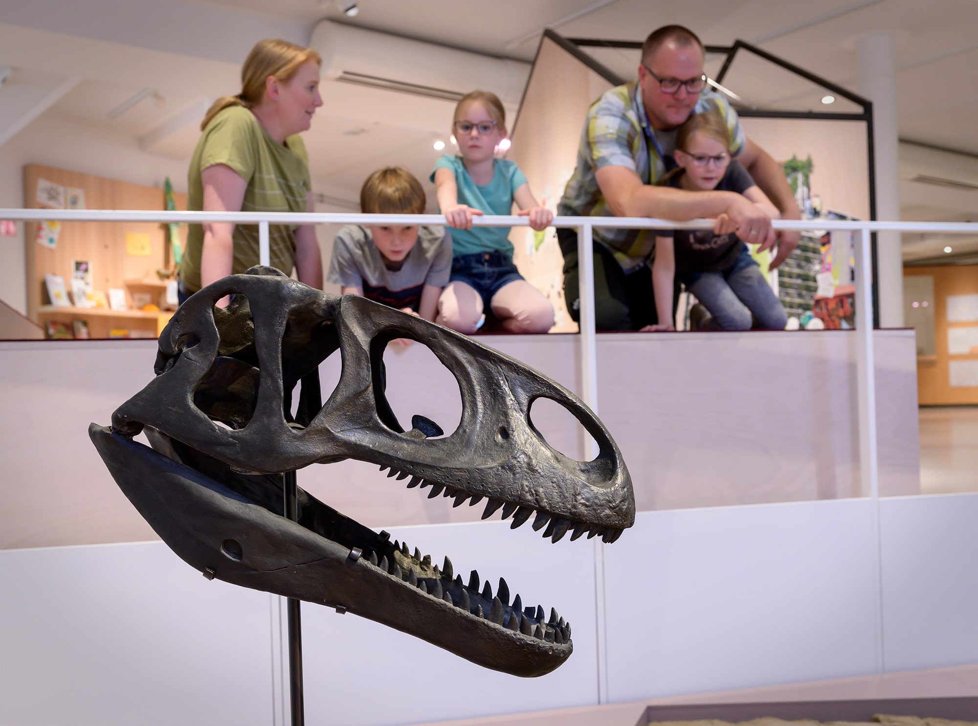 Raubsaurier ausgestellt im Museum am Schölerberg