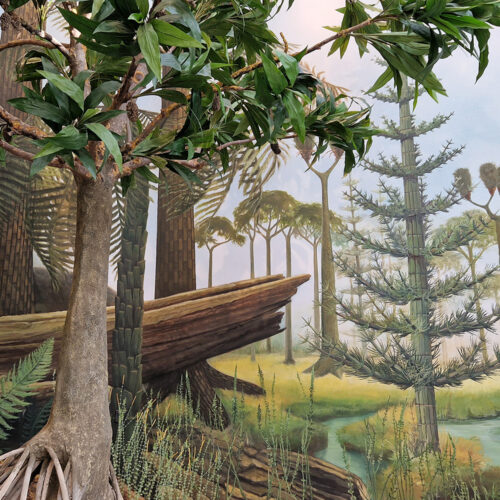 Bei Anruf Kultur: 300 Millionen Jahre zurück: Als Osnabrück noch in der Nähe des Äquators lag