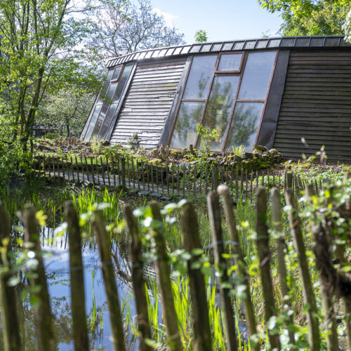 Gartenworkshop: Garten im Klimawandel