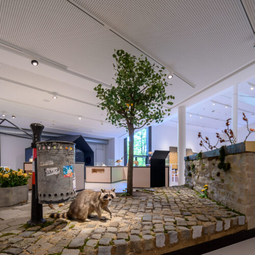 Ausstellungsbereich "Stadt" im Museum am Schölerberg in Osnabrück © Hermann Pentermann