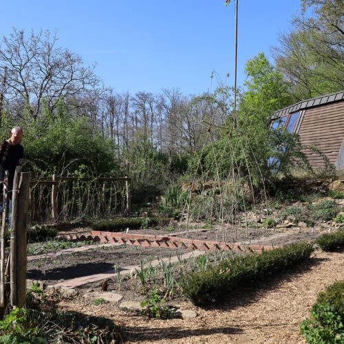 Gartenworkshop: Bauerngärten – Gärtnern wie früher