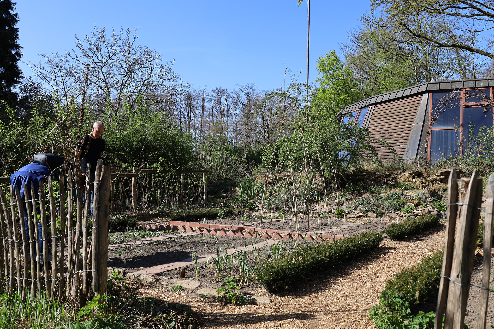 Bauerngarten im Museumsgarten am Schölerberg © Imke Wilxmann