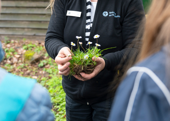 Mitarbeiterin hält Gänseblümchen in der Hand. © Angela von Brill