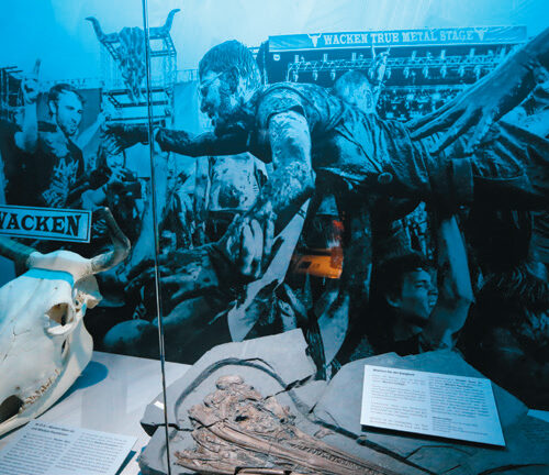 Sonntagsführung: Rundgang durch die Sonderausstellung Rock Fossils
