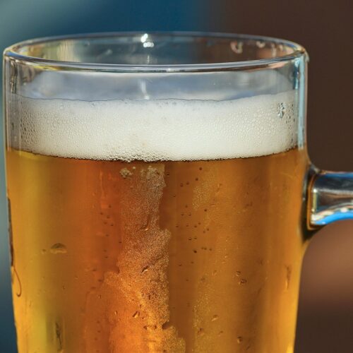 Bier-Workshop: Das Kultgetränk Bier