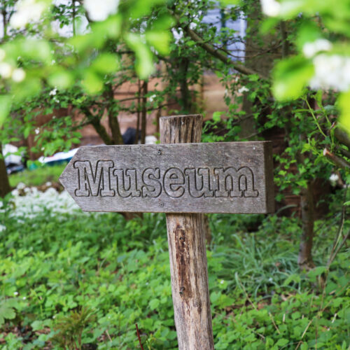 Meine grüne Stunde: Kann ich das essen oder bringt mich das um?