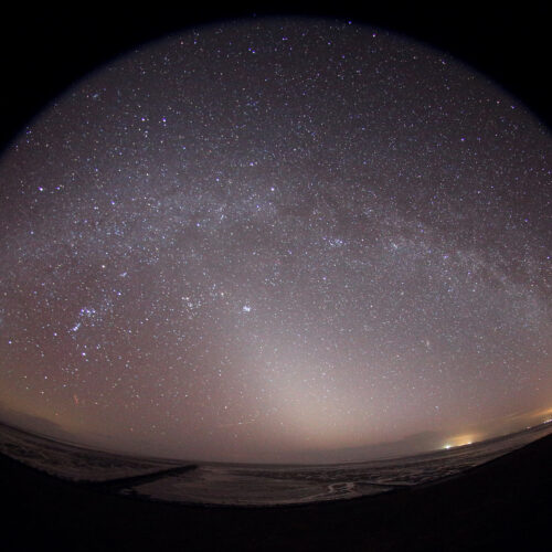 Nachhaltig beleuchten – zum Schutz der Natur