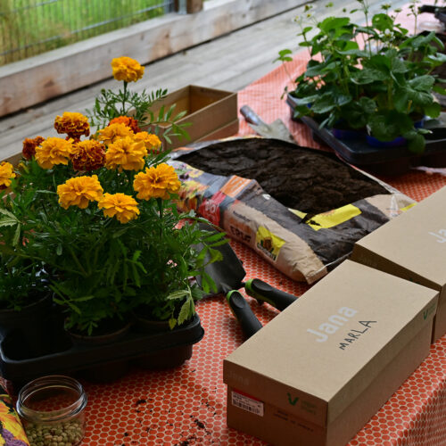 Familienangebot: Forschen – Staunen – Entdecken